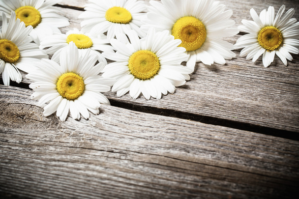 Fresh chamomile flowers on the wooden table - Photo, Image