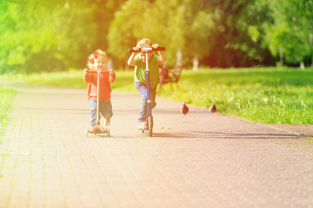 kids riding scooters in summer park - 写真・画像