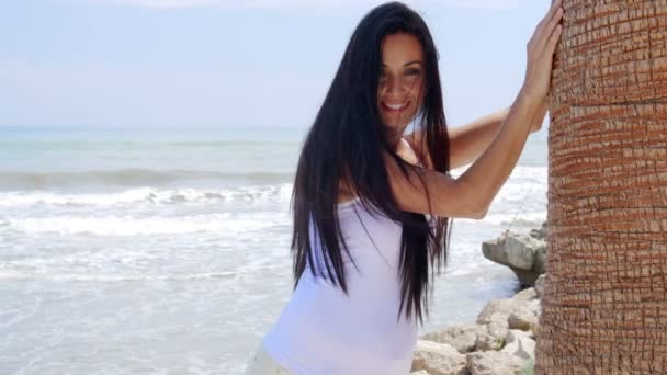 Κυρία εναντίον παραλία φοίνικας - Πλάνα, βίντεο