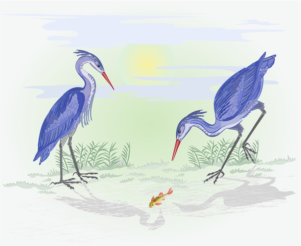 Herons on the hunt vector - Vector, Image