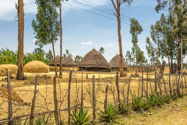 Традиционные дома в Эфиопии, Африка
 - Фото, изображение