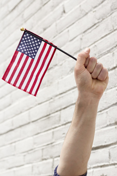 American Flags Patriotism - 写真・画像