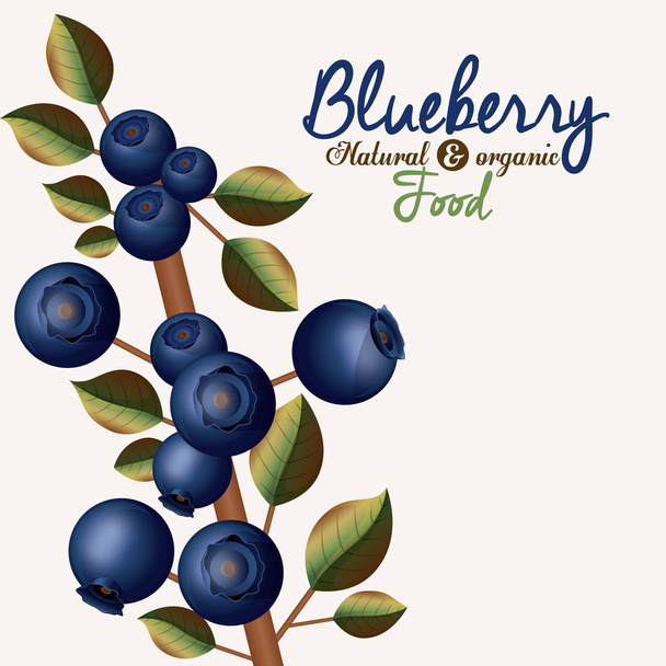 Blueberry Design - Vektor, kép