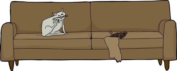 Scratching Cat On Damaged Sofa - Vector, Image