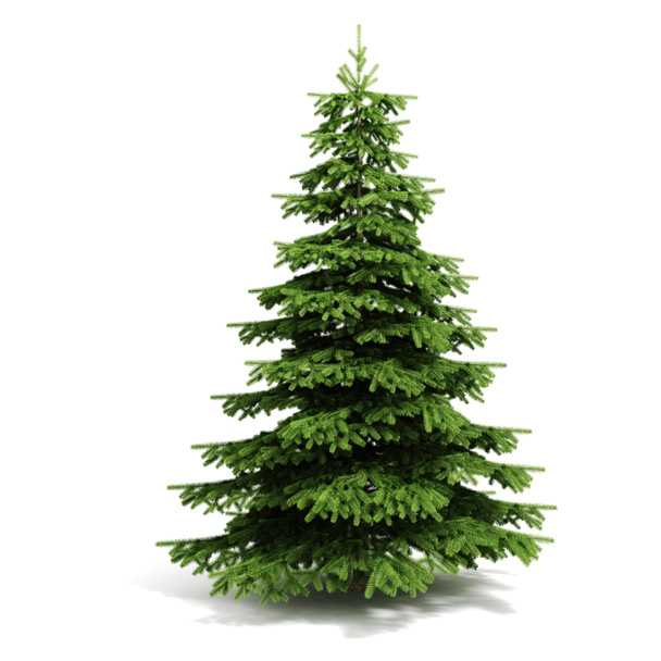 3d Christmas tree ready to decorate - on white background - Photo, Image