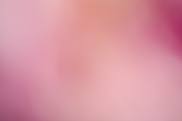 ροζ φύση θολή φόντο - Φωτογραφία, εικόνα