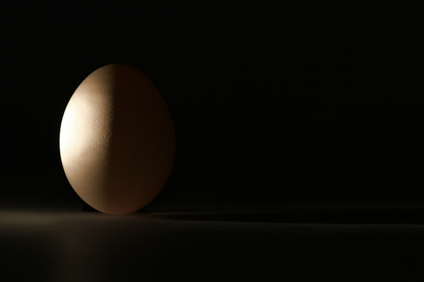 huevo en la oscuridad
 - Foto, imagen