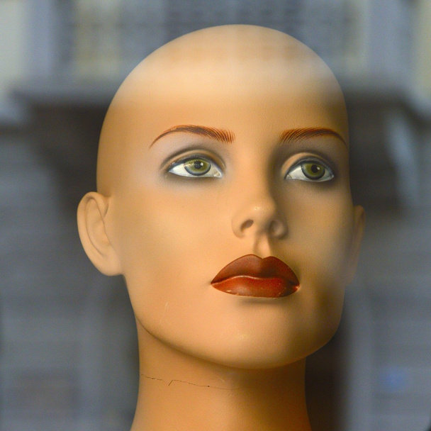 Woman mannequin - Photo, Image
