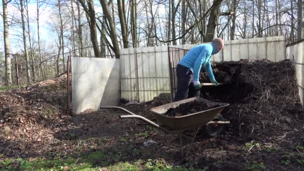 el hombre trabaja duro con tenedor en el patio. Carga de compost en carretilla
 - Imágenes, Vídeo