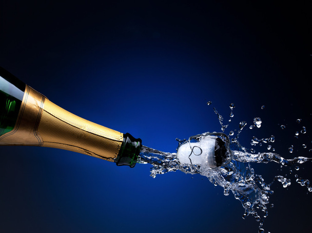 Champagne splash - Zdjęcie, obraz