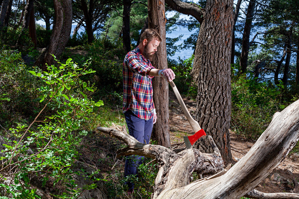 Portrait of an attractive young lumberjack - Foto, immagini