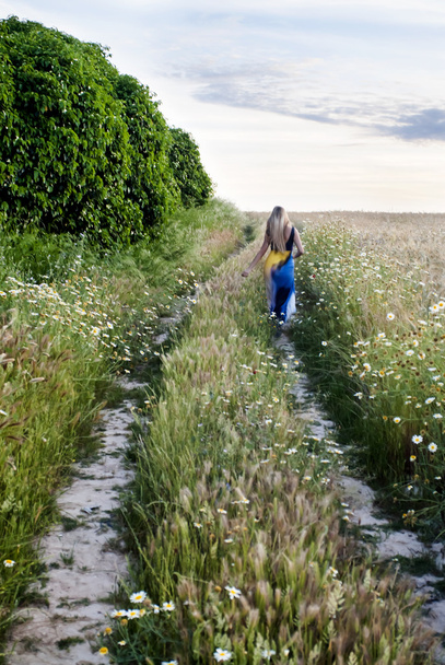 Bella donna bionda su un sentiero in un campo di grano
  - Foto, immagini
