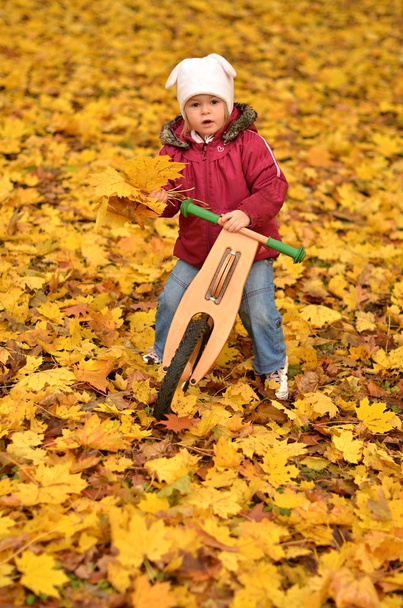 Little baby in an autumn park riding bike - Фото, изображение