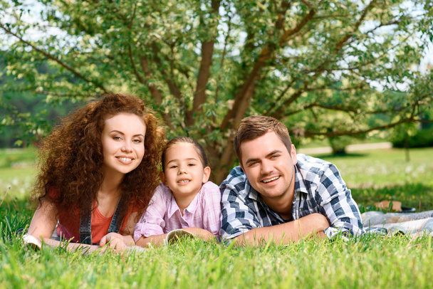 Happy family on a picnic - Zdjęcie, obraz