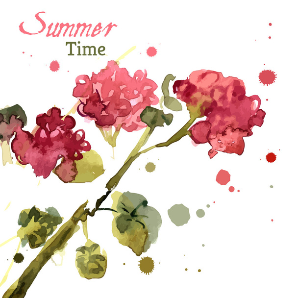 Watercolor blooming geranium - ベクター画像
