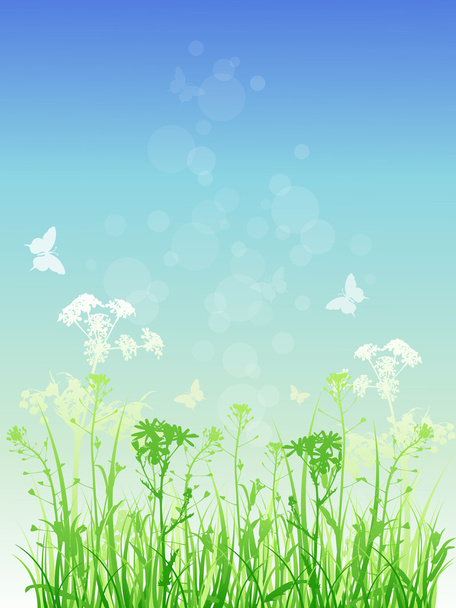 Floral background with green grass - Vecteur, image