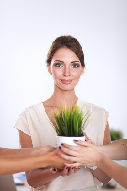 Beautiful woman holding pot with a plant, standing - 写真・画像