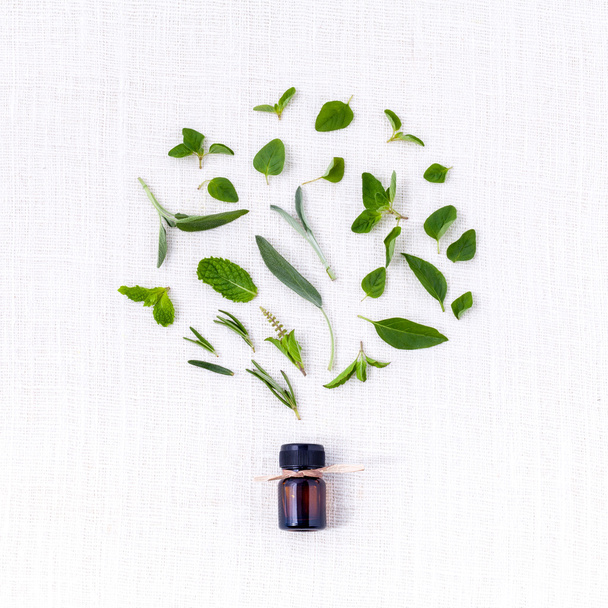 Flesje etherische olie met kruid Heilige basilicum blad, rozemarijn, oreg - Foto, afbeelding