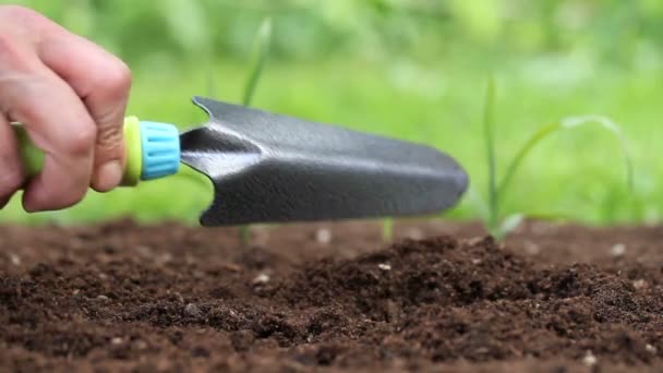 manos plantando una plántula en el suelo
 - Imágenes, Vídeo