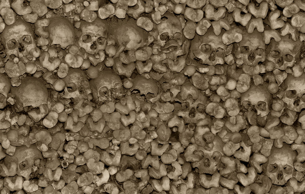 Seamless background of skulls and bones in the Chapel of Bones - Photo, Image