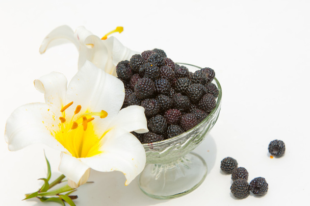 Black raspberries - Photo, Image
