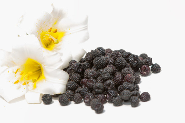 Black raspberries - Photo, Image