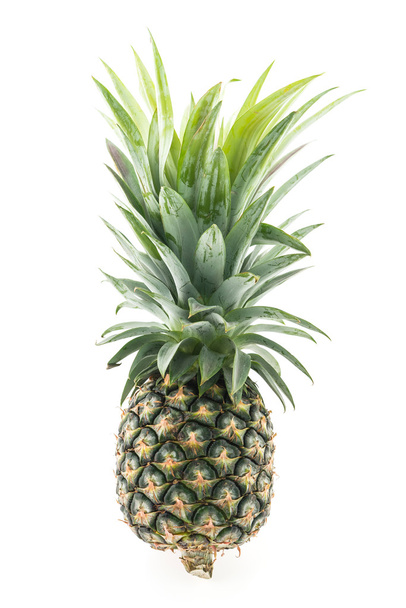 tropical Pineapple fruit - Фото, изображение