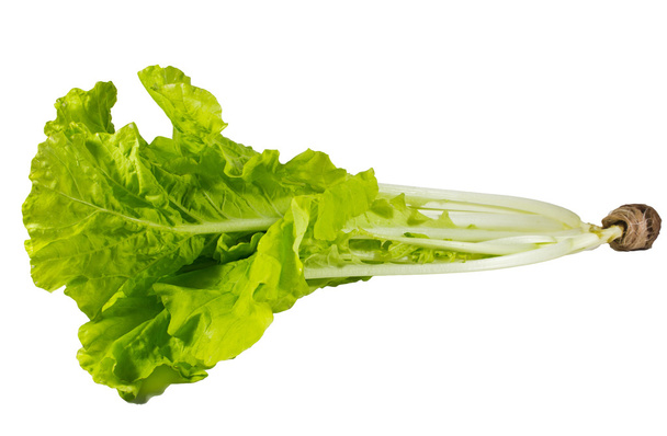 čerstvý zelený hlávkový salát - Fotografie, Obrázek