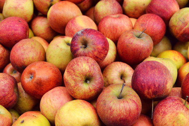 Intere gustose mele rosse al mercato
 - Foto, immagini