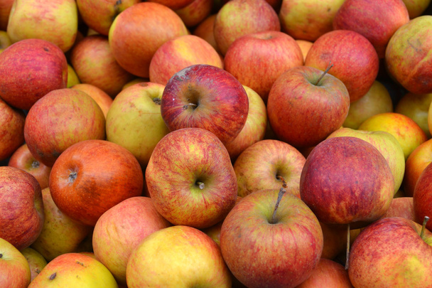 Pommes rouges savoureuses entières au marché
 - Photo, image