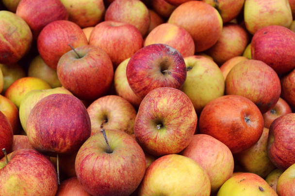 Pommes rouges savoureuses entières au marché
 - Photo, image