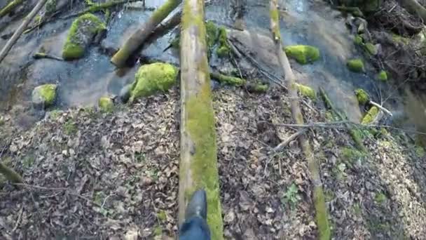 pé homem andar sobre tronco musgoso sobre água córrego ribeiro na floresta. 4K
 - Filmagem, Vídeo