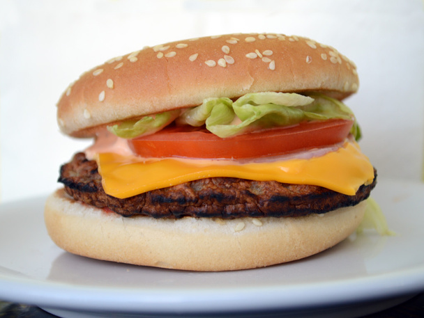 hamburger - Fotografie, Obrázek