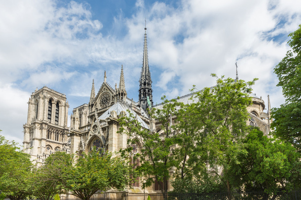Notre Dame Katedrali ilkbahar, Paris, Fransa - Fotoğraf, Görsel