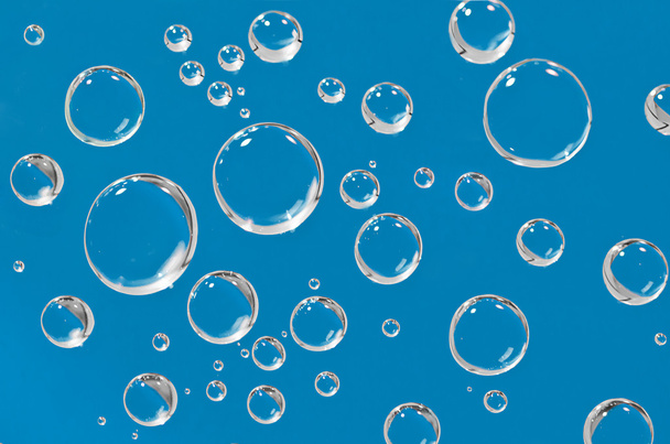 Water droplets on a blue background. - Photo, Image