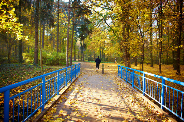 Blue bridge in the forest - Фото, зображення