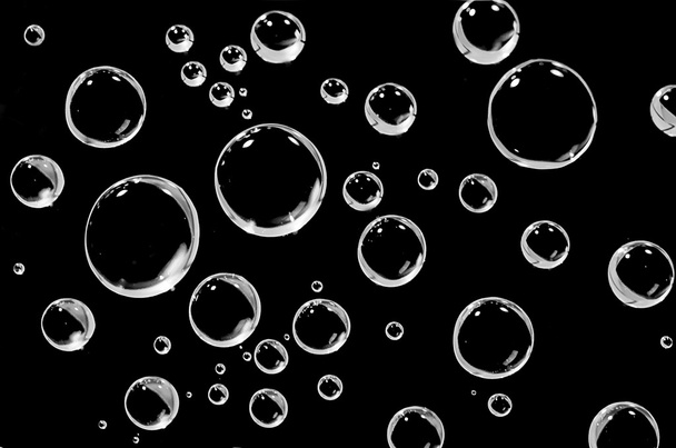 Water droplets on a black background. - Foto, imagen