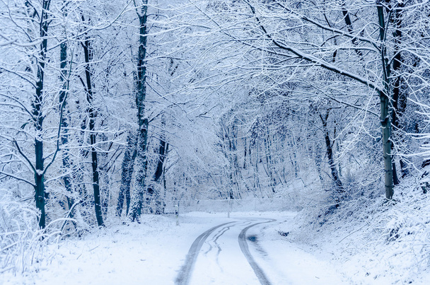 Дорога зимой - Фото, изображение