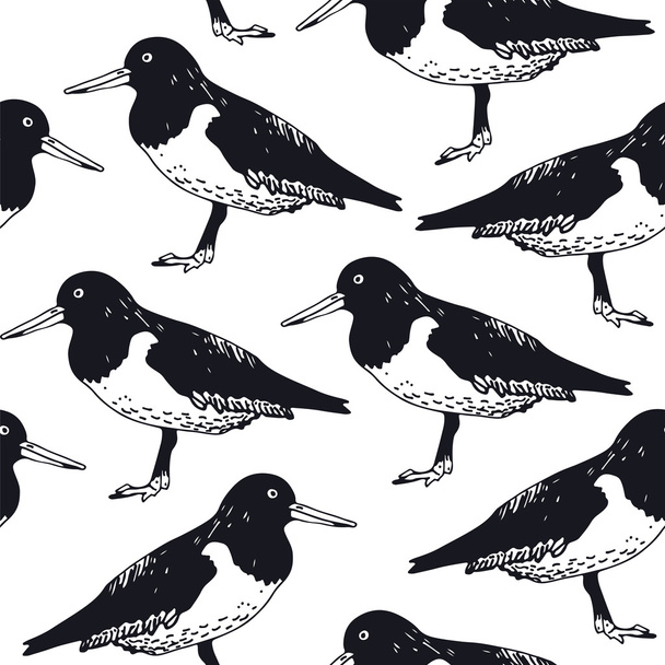 Bird pattern, oystercatcher drawing - Vektori, kuva
