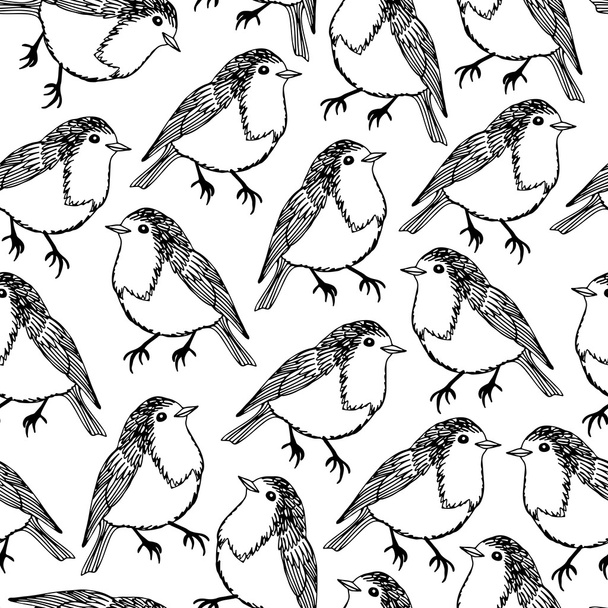 Robin bird pattern - Vektor, Bild