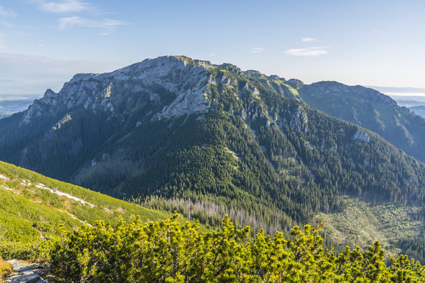 Prominente pico de Tatras Occidentales
 - Foto, imagen