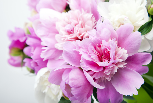 ピンクと白の牡丹の美しい花束 - 写真・画像