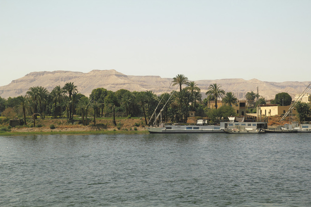 Nil - Fotoğraf, Görsel