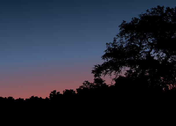 Ηλιοβασίλεμα - Διάνυσμα, εικόνα