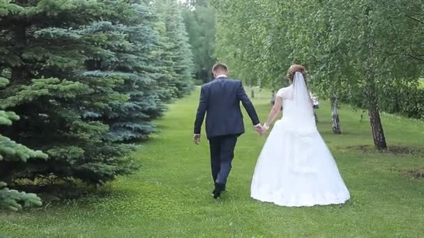 Wedding couple walking - Materiaali, video