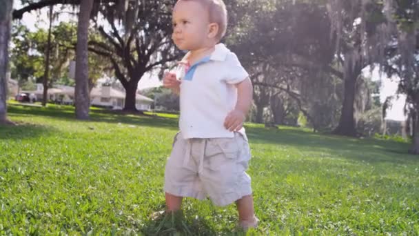 baby boy walking barefoot on grass in park - Footage, Video