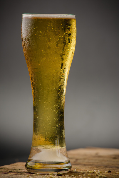 黒い背景に軽めのビールのグラス - 写真・画像