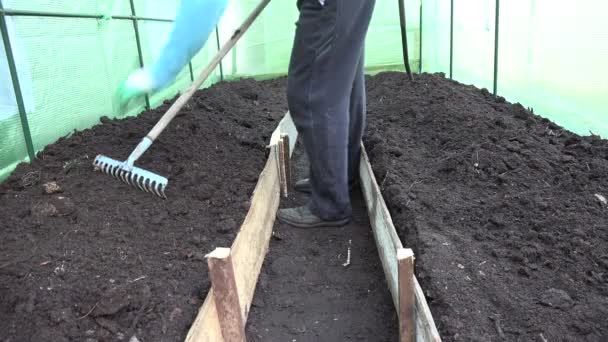 Tuinman bereiden bodem bed met raker hulpmiddel in broeikas. 4k - Video