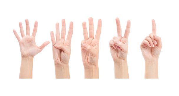 počítání žena ruce - Fotografie, Obrázek