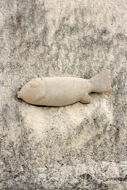 ryby v kameni - Fotografie, Obrázek